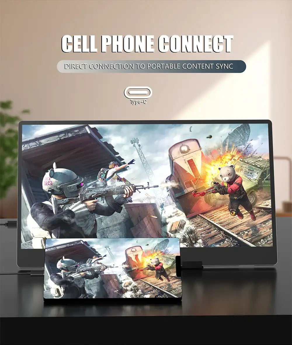 14-inch portable monitor 1366x768, 178°/60Hz, built-in speakers, 2*Type-C, Mini HDMI