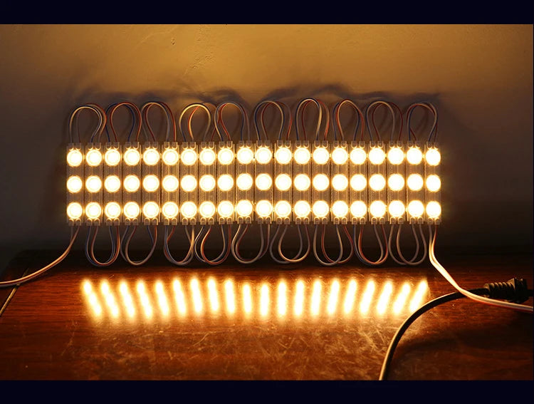 20pcs LED  Injection Module Light Waterproof  DC 12V